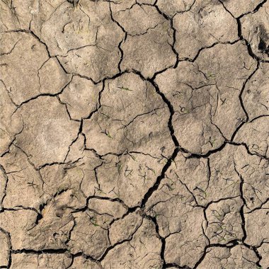 Çatlak yeryüzü arka planı. Toprak yüzeyinde çatlaklar var. Çamur çatlakları.