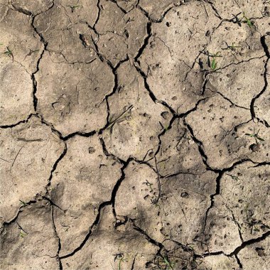 Çatlak yeryüzü arka planı. Toprak yüzeyinde çatlaklar var. Çamur çatlakları.