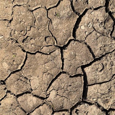 Çatlak yeryüzü arka planı. Toprak yüzeyinde çatlaklar var. Çamur çatlakları.