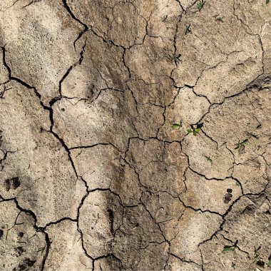 Çatlak yeryüzü arka planı. Toprak yüzeyinde çatlaklar var. Çamur çatlakları.
