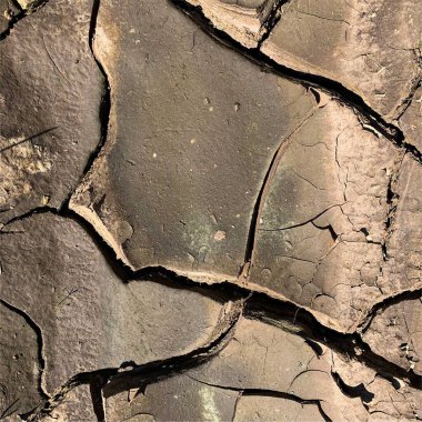 Çatlak yeryüzü arka planı. Toprak yüzeyinde çatlaklar var. Çamur çatlakları.