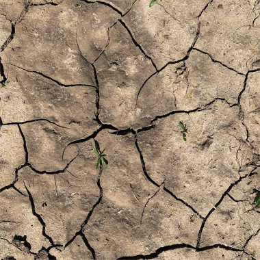 Çatlak yeryüzü arka planı. Toprak yüzeyinde çatlaklar var. Çamur çatlakları.