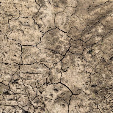 Çatlak yeryüzü arka planı. Toprak yüzeyinde çatlaklar var. Çamur çatlakları.