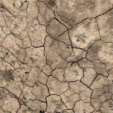 Çatlak yeryüzü arka planı. Toprak yüzeyinde çatlaklar var. Çamur çatlakları.