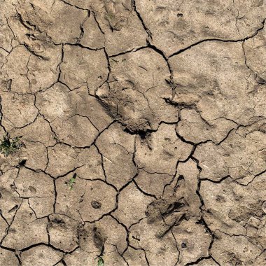 Çatlak yeryüzü arka planı. Toprak yüzeyinde çatlaklar var. Çamur çatlakları.