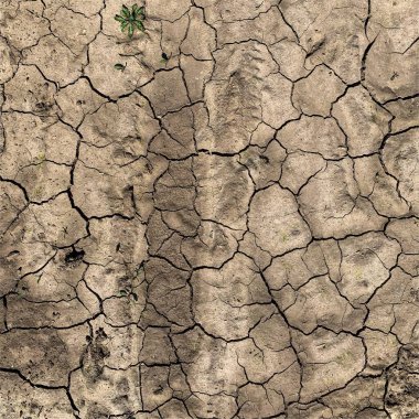 Çatlak yeryüzü arka planı. Toprak yüzeyinde çatlaklar var. Çamur çatlakları.