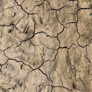 Çatlak yeryüzü arka planı. Toprak yüzeyinde çatlaklar var. Çamur çatlakları.