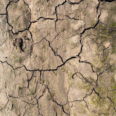Çatlak yeryüzü arka planı. Toprak yüzeyinde çatlaklar var. Çamur çatlakları.
