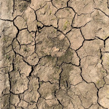 Çatlak yeryüzü arka planı. Toprak yüzeyinde çatlaklar var. Çamur çatlakları.