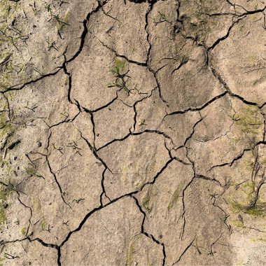 Çatlak yeryüzü arka planı. Toprak yüzeyinde çatlaklar var. Çamur çatlakları.