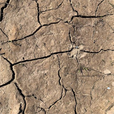 Çatlak yeryüzü arka planı. Toprak yüzeyinde çatlaklar var. Çamur çatlakları.