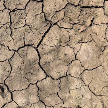 Çatlak yeryüzü arka planı. Toprak yüzeyinde çatlaklar var. Çamur çatlakları.