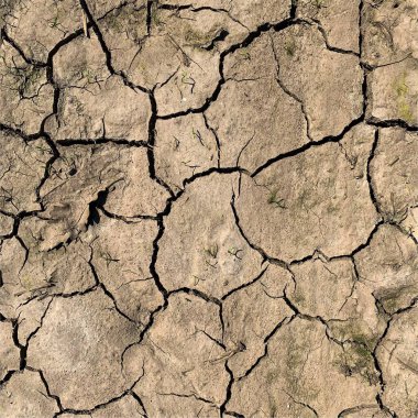 Çatlak yeryüzü arka planı. Toprak yüzeyinde çatlaklar var. Çamur çatlakları.