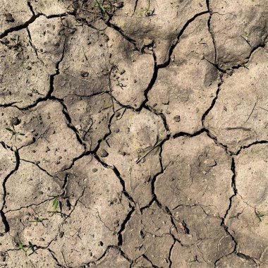 Çatlak yeryüzü arka planı. Toprak yüzeyinde çatlaklar var. Çamur çatlakları.