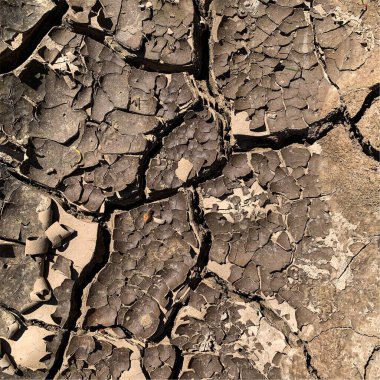 Çatlak yeryüzü arka planı. Toprak yüzeyinde çatlaklar var. Çamur çatlakları.