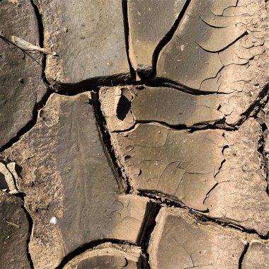 Çatlak yeryüzü arka planı. Toprak yüzeyinde çatlaklar var. Çamur çatlakları.