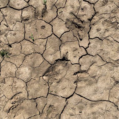 Çatlak yeryüzü arka planı. Toprak yüzeyinde çatlaklar var. Çamur çatlakları.