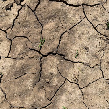 Çatlak yeryüzü arka planı. Toprak yüzeyinde çatlaklar var. Çamur çatlakları.
