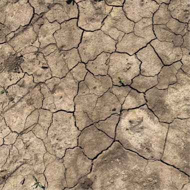 Çatlak yeryüzü arka planı. Toprak yüzeyinde çatlaklar var. Çamur çatlakları.