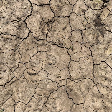 Çatlak yeryüzü arka planı. Toprak yüzeyinde çatlaklar var. Çamur çatlakları.