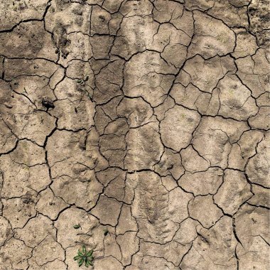 Çatlak yeryüzü arka planı. Toprak yüzeyinde çatlaklar var. Çamur çatlakları.