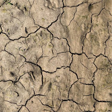 Çatlak yeryüzü arka planı. Toprak yüzeyinde çatlaklar var. Çamur çatlakları.