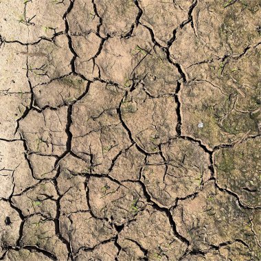 Çatlak yeryüzü arka planı. Toprak yüzeyinde çatlaklar var. Çamur çatlakları.