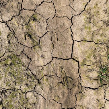 Çatlak yeryüzü arka planı. Toprak yüzeyinde çatlaklar var. Çamur çatlakları.