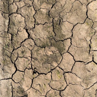 Çatlak yeryüzü arka planı. Toprak yüzeyinde çatlaklar var. Çamur çatlakları.