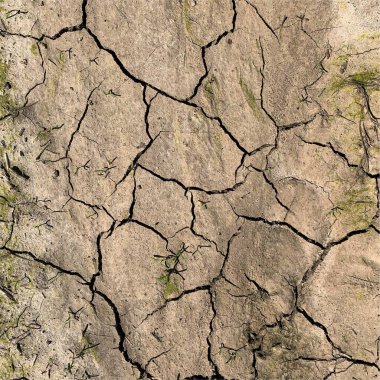 Çatlak yeryüzü arka planı. Toprak yüzeyinde çatlaklar var. Çamur çatlakları.
