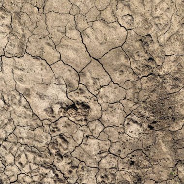 Çatlak yeryüzü arka planı. Toprak yüzeyinde çatlaklar var. Çamur çatlakları.