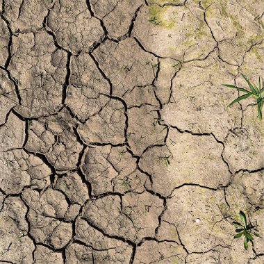 Çatlak yeryüzü arka planı. Toprak yüzeyinde çatlaklar var. Çamur çatlakları.