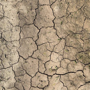 Çatlak yeryüzü arka planı. Toprak yüzeyinde çatlaklar var. Çamur çatlakları.