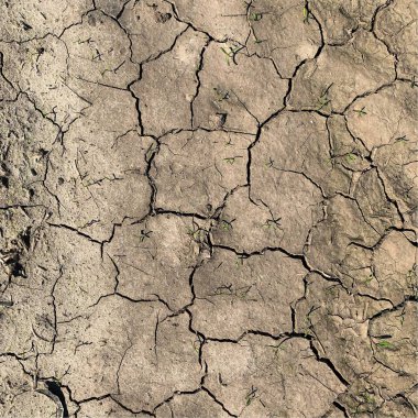 Çatlak yeryüzü arka planı. Toprak yüzeyinde çatlaklar var. Çamur çatlakları.