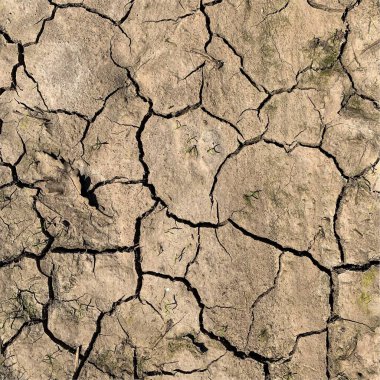 Çatlak yeryüzü arka planı. Toprak yüzeyinde çatlaklar var. Çamur çatlakları.