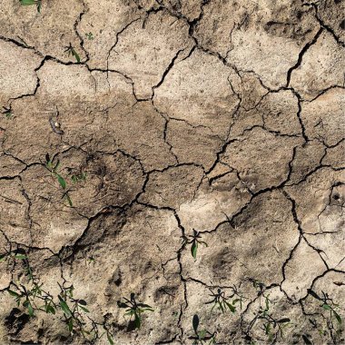Çatlak yeryüzü arka planı. Toprak yüzeyinde çatlaklar var. Çamur çatlakları.