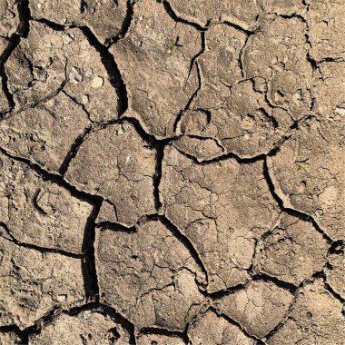 Çatlak yeryüzü arka planı. Toprak yüzeyinde çatlaklar var. Çamur çatlakları.