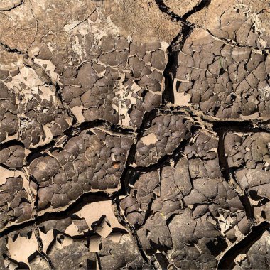 Çatlak yeryüzü arka planı. Toprak yüzeyinde çatlaklar var. Çamur çatlakları.