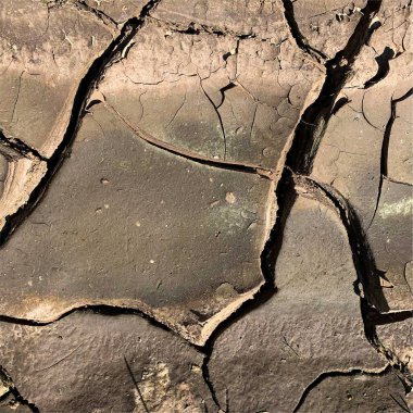 Çatlak yeryüzü arka planı. Toprak yüzeyinde çatlaklar var. Çamur çatlakları.