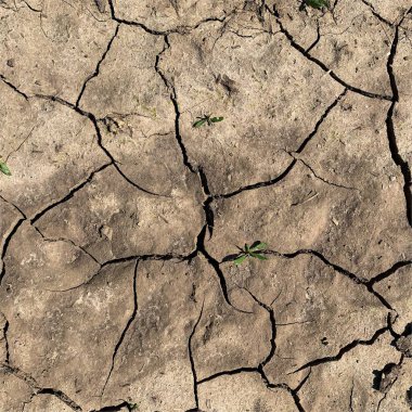 Çatlak yeryüzü arka planı. Toprak yüzeyinde çatlaklar var. Çamur çatlakları.