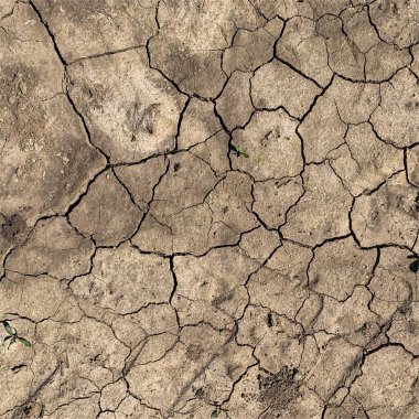 Çatlak yeryüzü arka planı. Toprak yüzeyinde çatlaklar var. Çamur çatlakları.