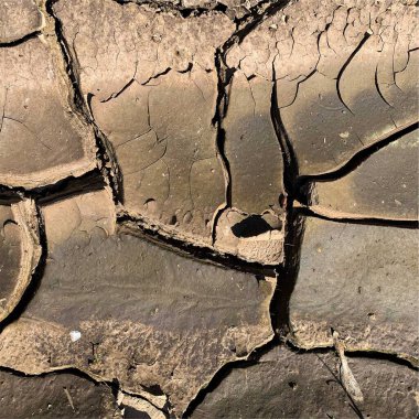 Çatlak yeryüzü arka planı. Toprak yüzeyinde çatlaklar var. Çamur çatlakları.