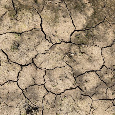 Çatlak yeryüzü arka planı. Toprak yüzeyinde çatlaklar var. Çamur çatlakları.
