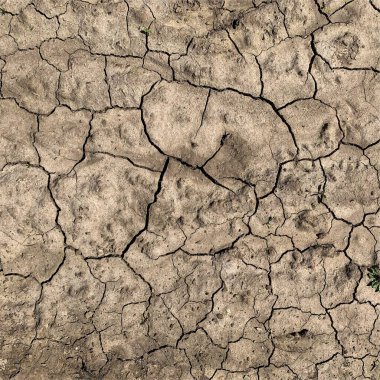 Çatlak yeryüzü arka planı. Toprak yüzeyinde çatlaklar var. Çamur çatlakları.