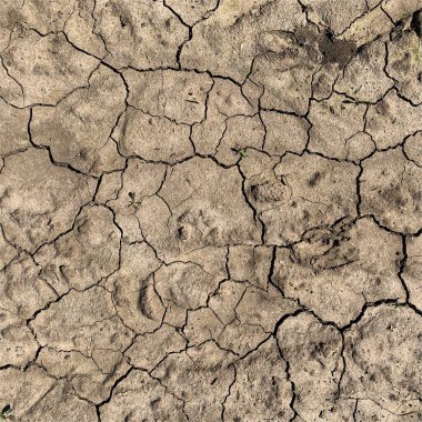 Çatlak yeryüzü arka planı. Toprak yüzeyinde çatlaklar var. Çamur çatlakları.