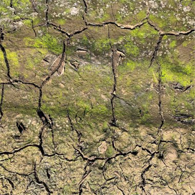 Çatlak yeryüzü arka planı. Toprak yüzeyinde çatlaklar var. Çamur çatlakları.