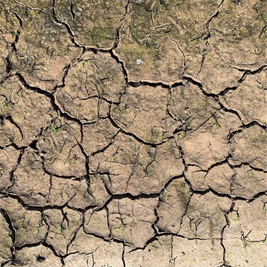 Çatlak yeryüzü arka planı. Toprak yüzeyinde çatlaklar var. Çamur çatlakları.