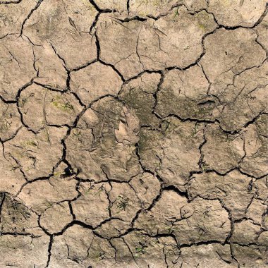 Çatlak yeryüzü arka planı. Toprak yüzeyinde çatlaklar var. Çamur çatlakları.