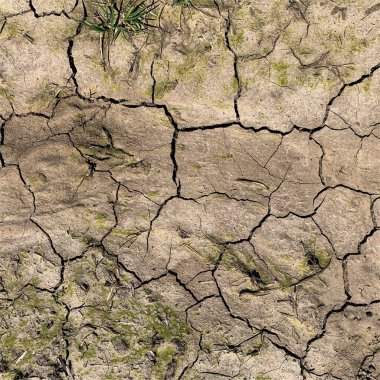 Çatlak yeryüzü arka planı. Toprak yüzeyinde çatlaklar var. Çamur çatlakları.