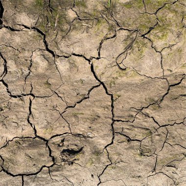 Çatlak yeryüzü arka planı. Toprak yüzeyinde çatlaklar var. Çamur çatlakları.